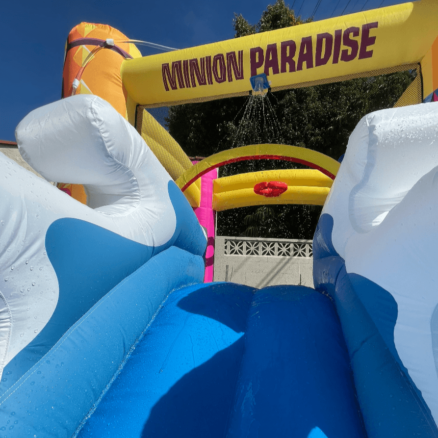 Minions Bounce House Water Slide - Funormous